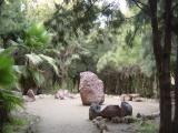 Gartenanlage im Ort Costa Calma