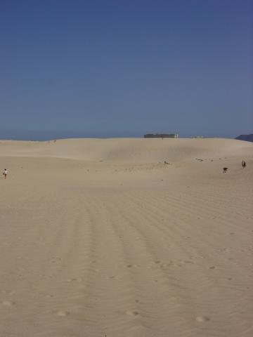 Die Dnen bei Corralejo